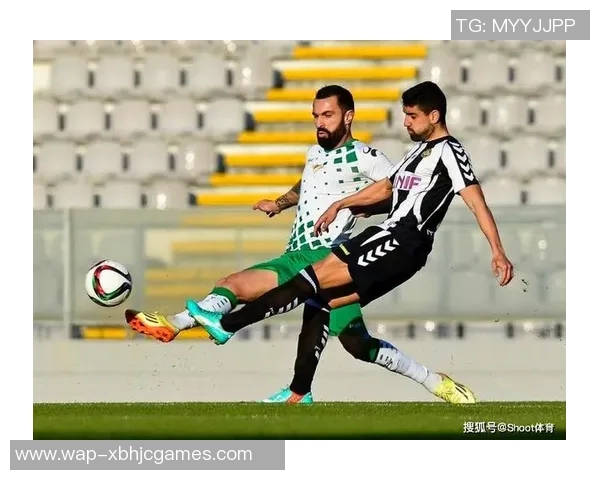 职业联赛积分榜V5以51分稳居榜首展现强劲实力