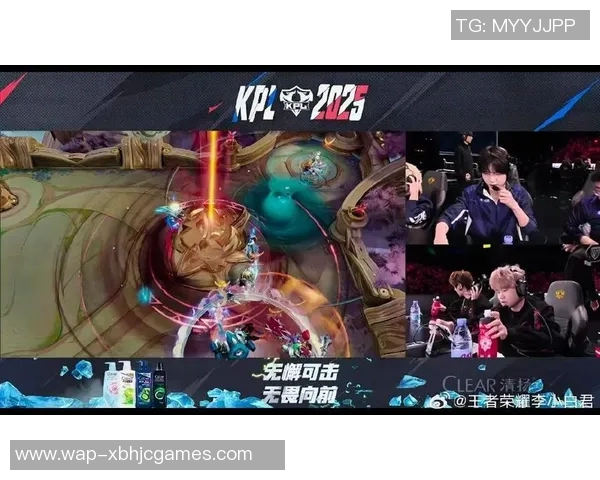 王者荣耀热议JDG战队节奏争议引发玩家热烈讨论与反思