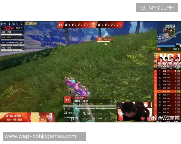 和平精英中JDG战队防反策略的优缺点分析与总结实时数据